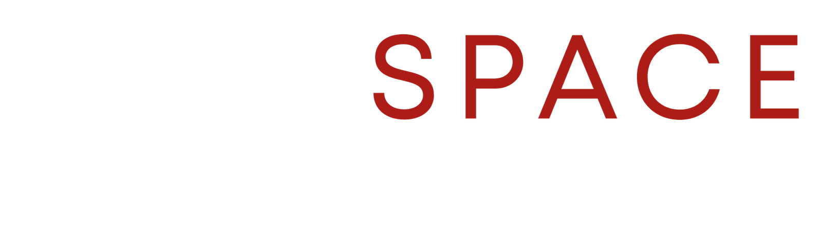 MFDSpace Wealth